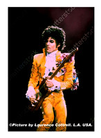 Prince in Concert