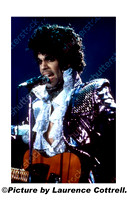 Prince in Concert